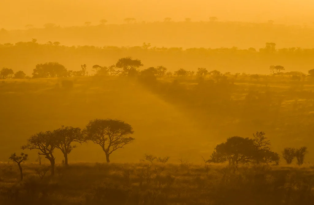Réserve d'Hluhluwe-Umfolozi, Afrique du Sud