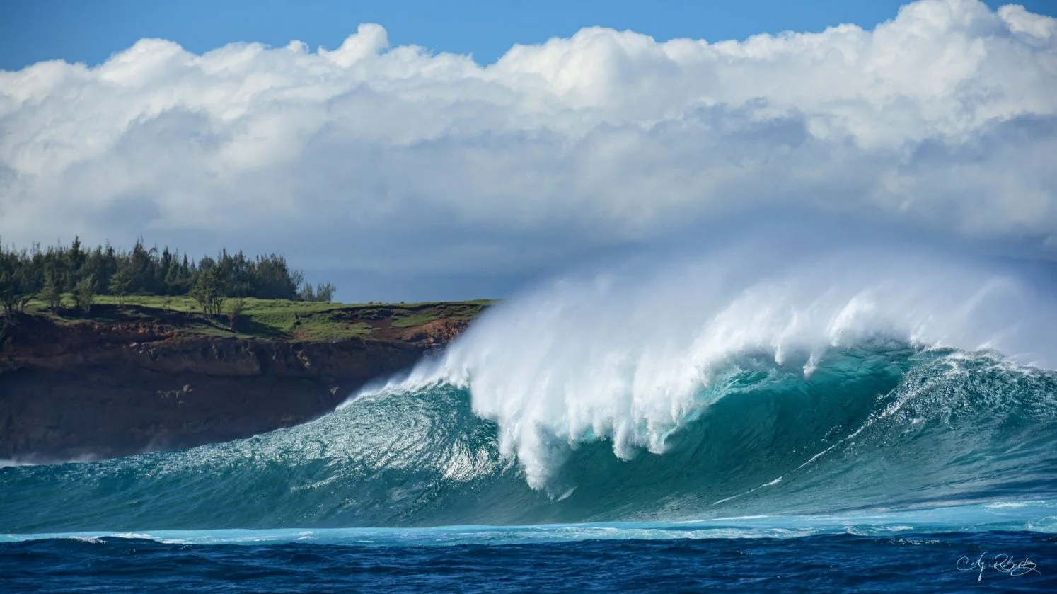 Jaws, États-Unis, Hawaï