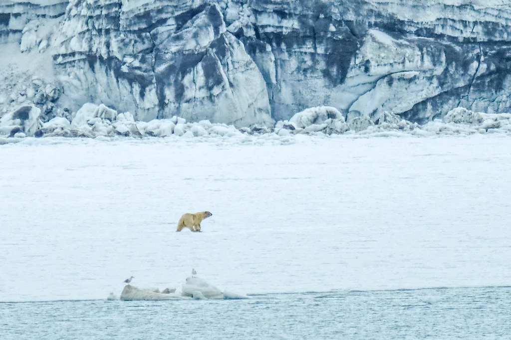 Recherchebreen, Svalbard et Jan Mayen