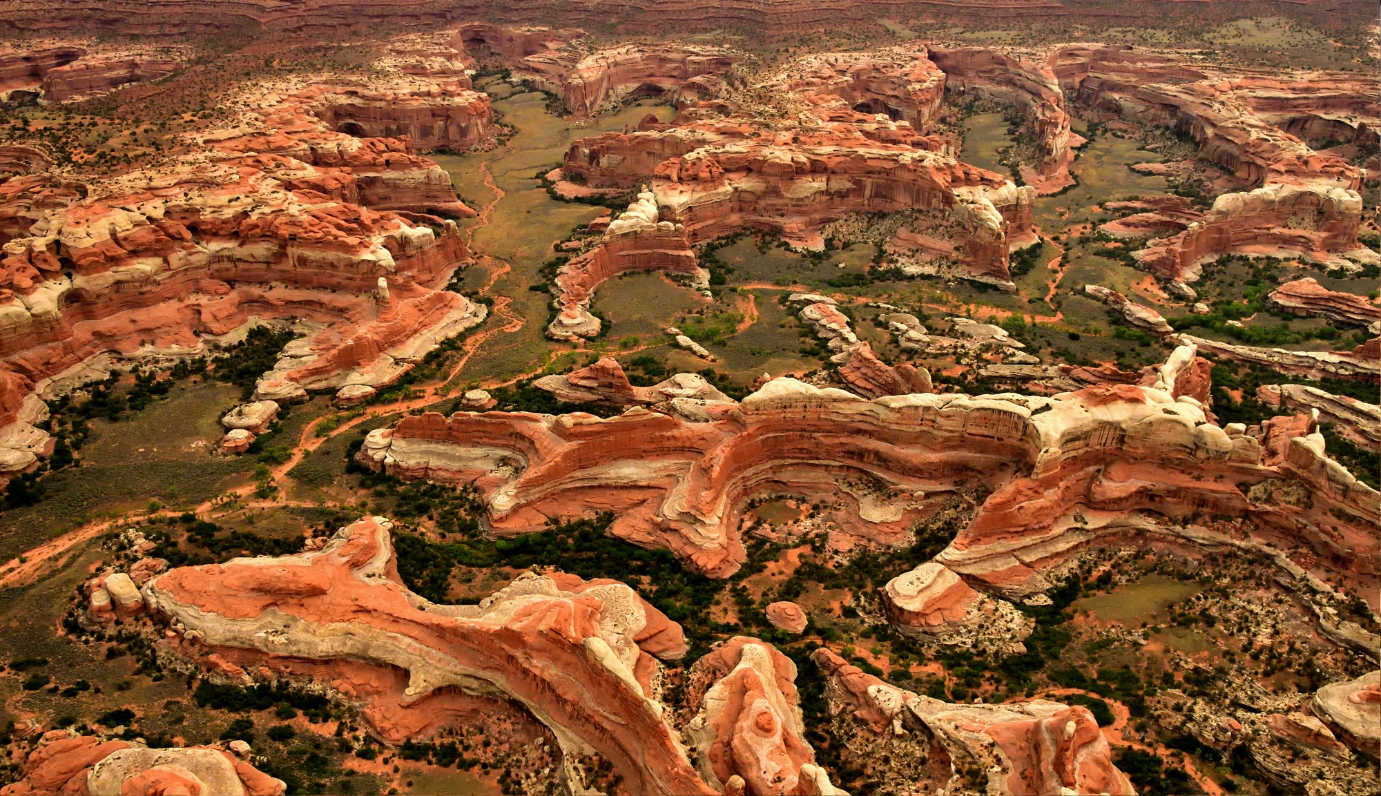 The Maze, États-Unis