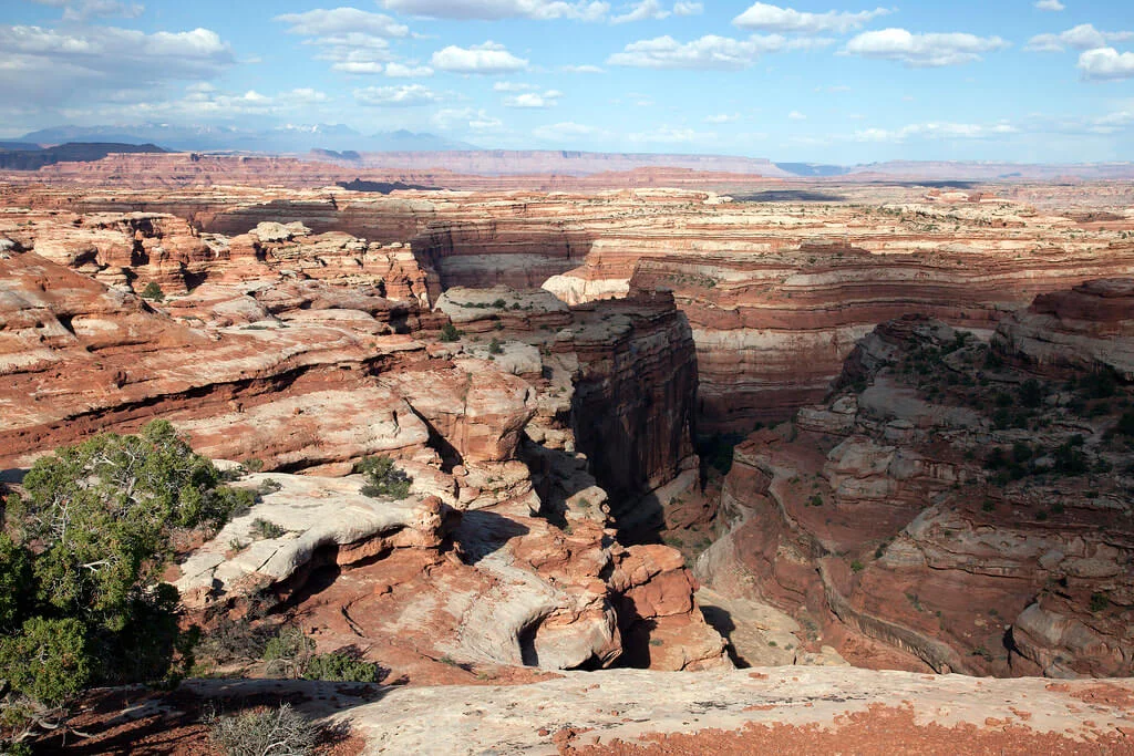 The Maze, États-Unis