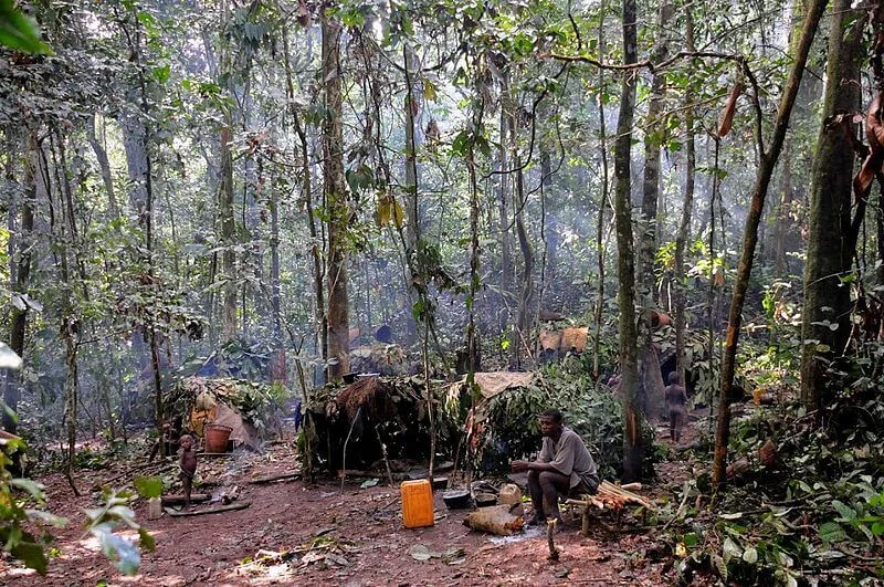 Réserve spéciale de Dzanga-Sangha, République centrafricaine