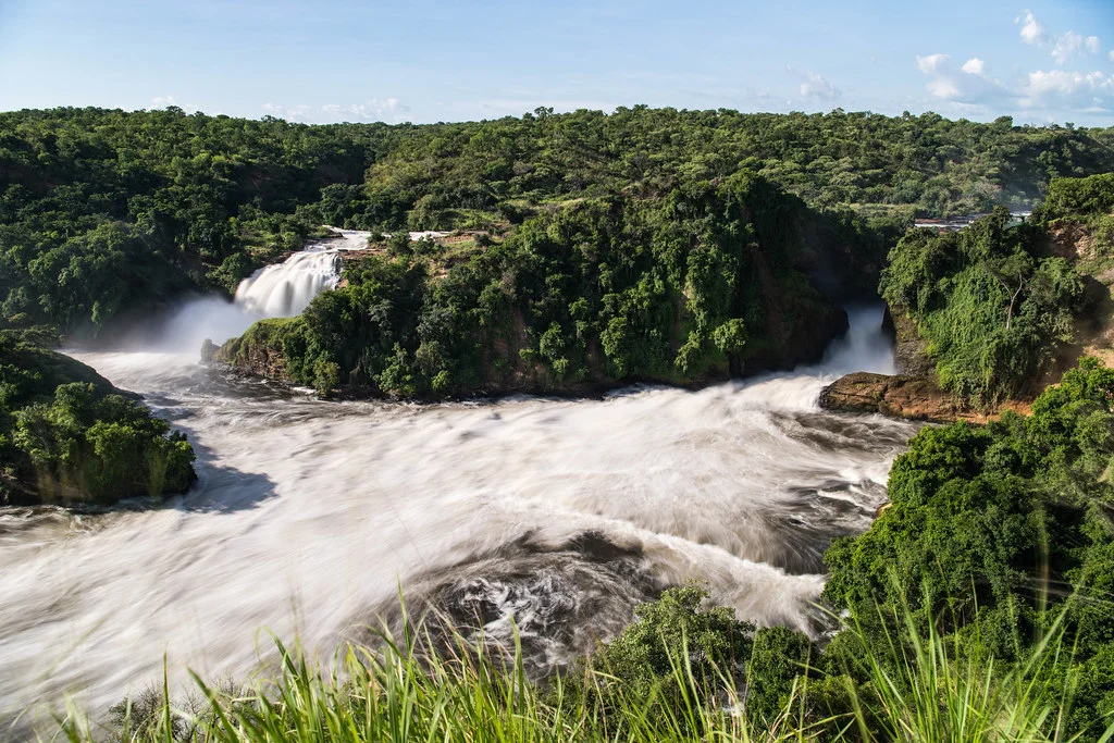 Parc national Murchison Falls, Ouganda