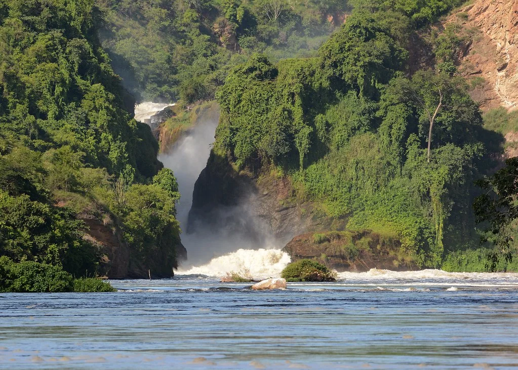 Parc national Murchison Falls, Ouganda