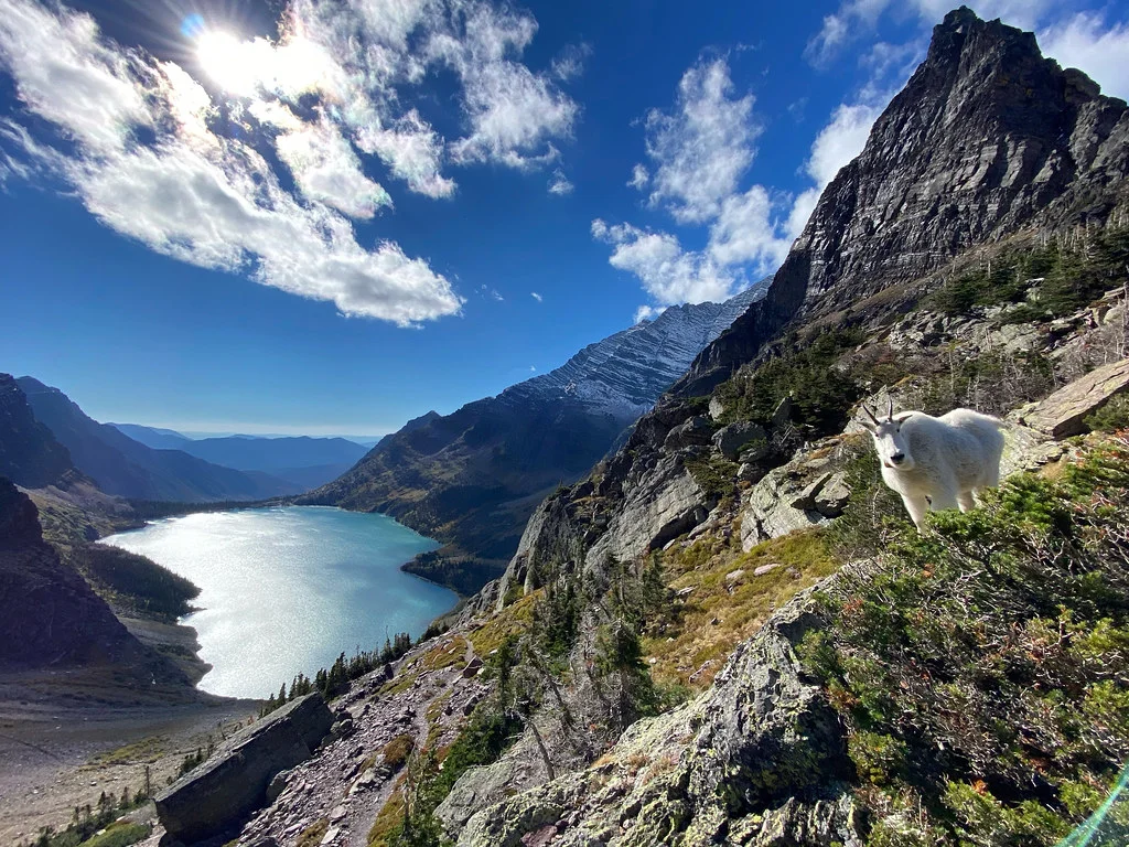 Lake Ellen Wilson, États-Unis