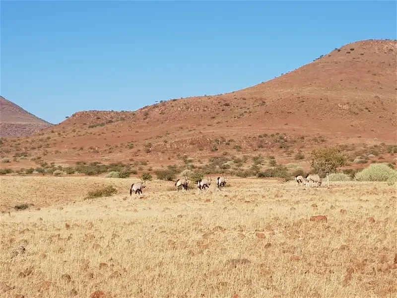 Etendeka Walking Trail, Namibie