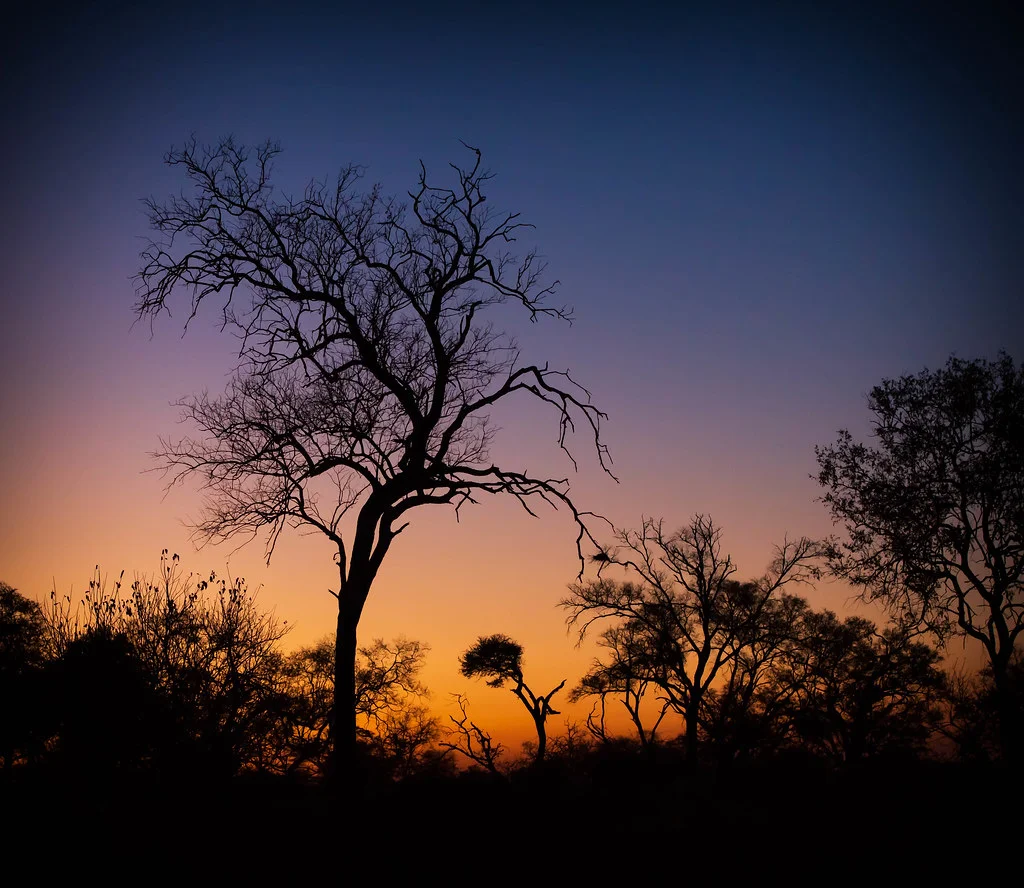 Bande de Caprivi, Namibie