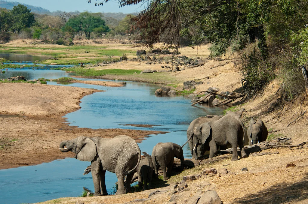 Ruaha, Tanzanie, Tanzanie