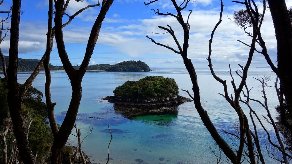 Rakiura Track, Nouvelle-Zélande