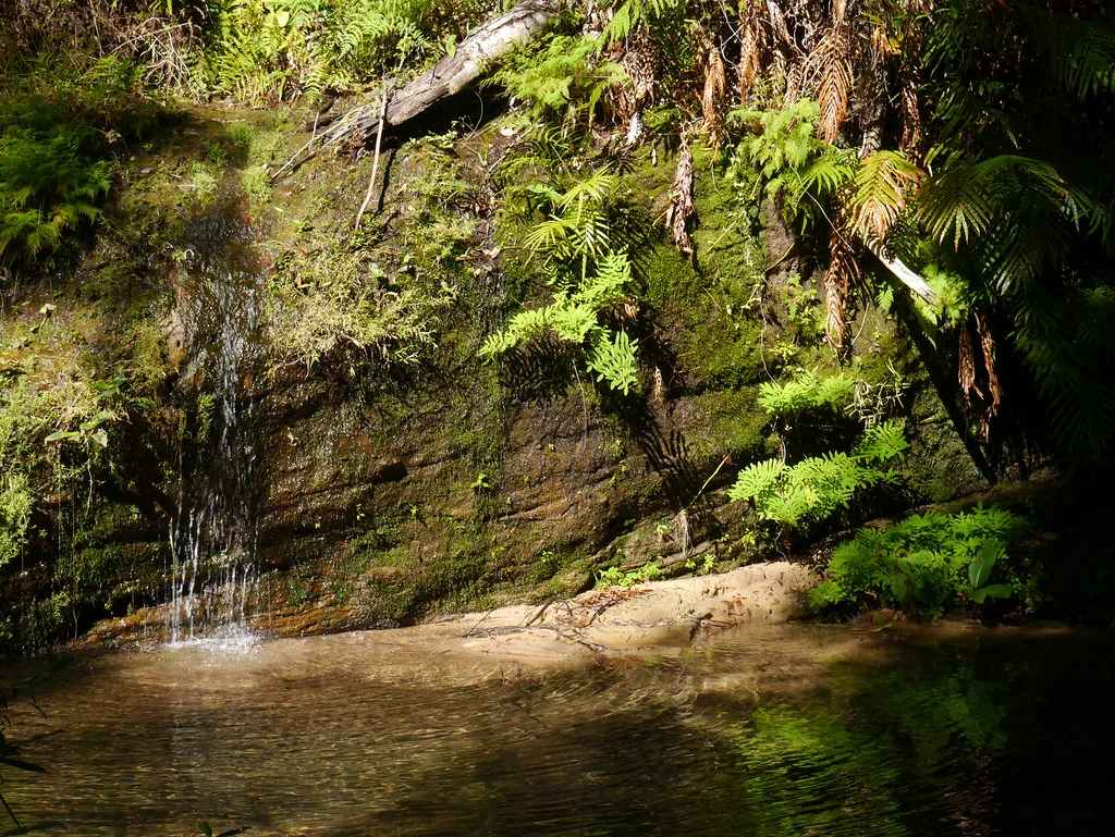 Canyon des Makis, Madagascar