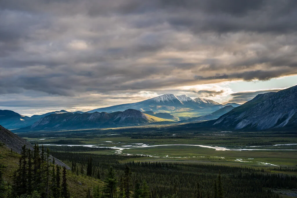 Refuge faunique national Arctic, États-Unis