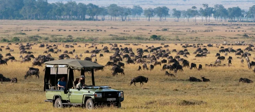 Olare Motorogi Conservancy, Kenya