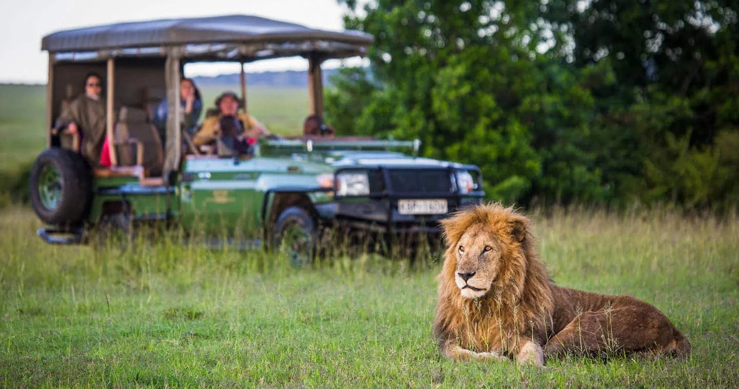 Olare Motorogi Conservancy, Kenya