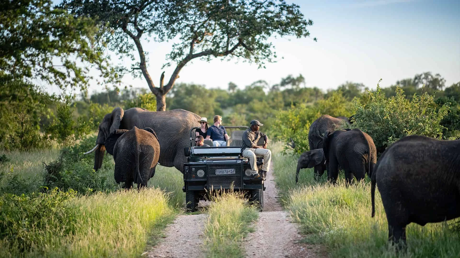 Parc national Kruger, Afrique du Sud