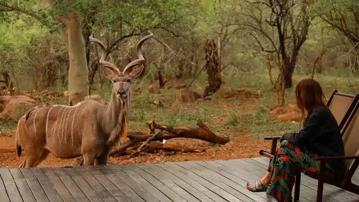 Parc national Kruger, Afrique du Sud