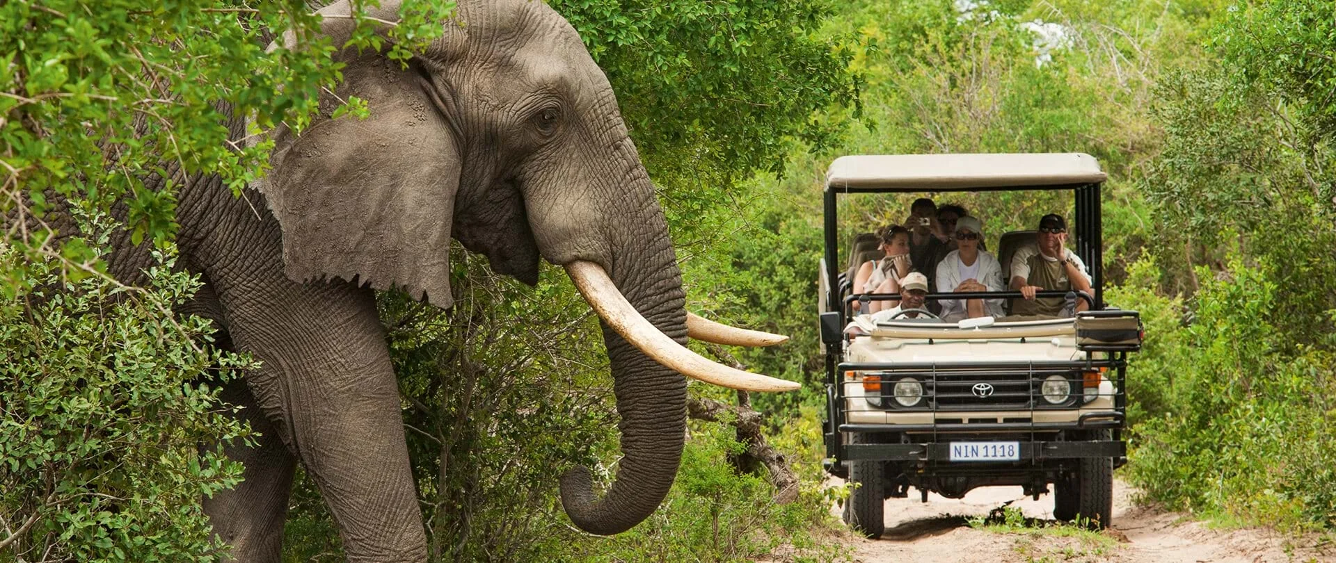 Parc national Kruger, Afrique du Sud