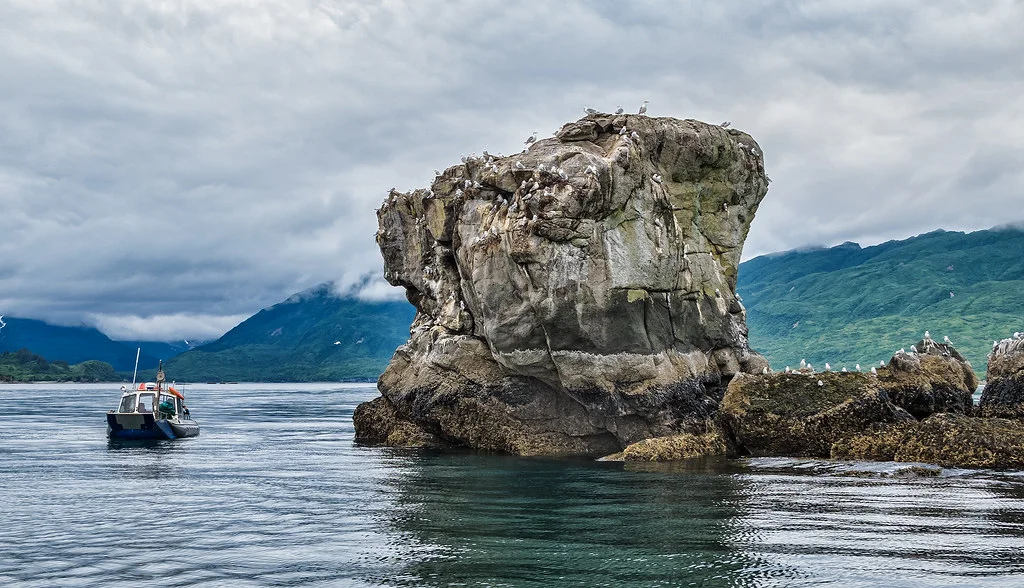 Kukak Bay, États-Unis