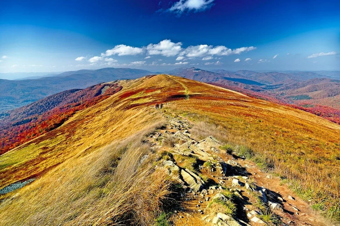Parc national de Bieszczady, Pologne