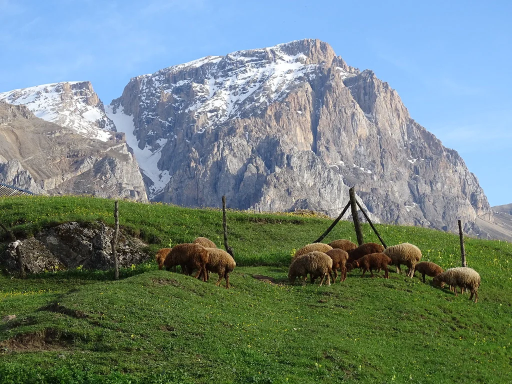 Laza, Azerbaïdjan
