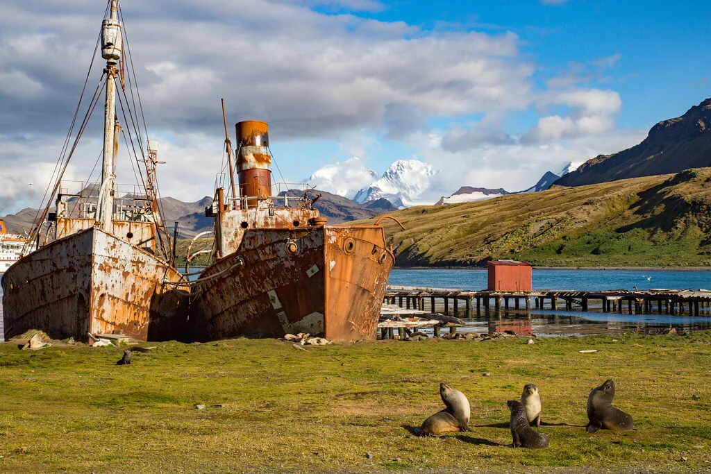 Grytviken, Géorgie du Sud et Îles Sandwich du Sud