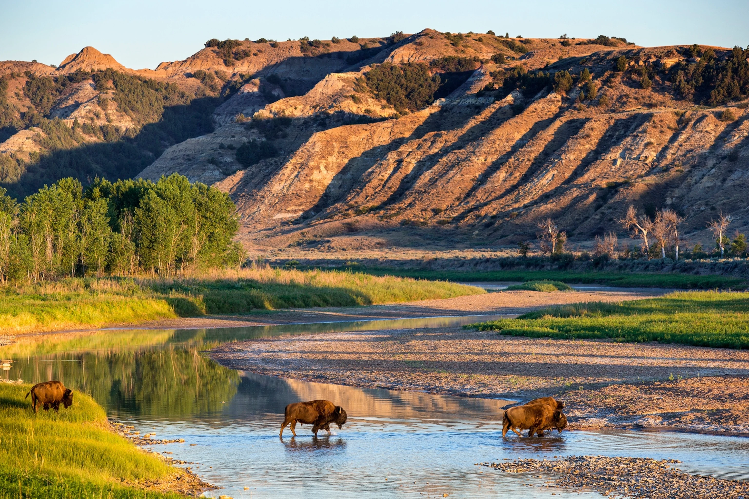 Parc national Theodore Roosevelt, États-Unis