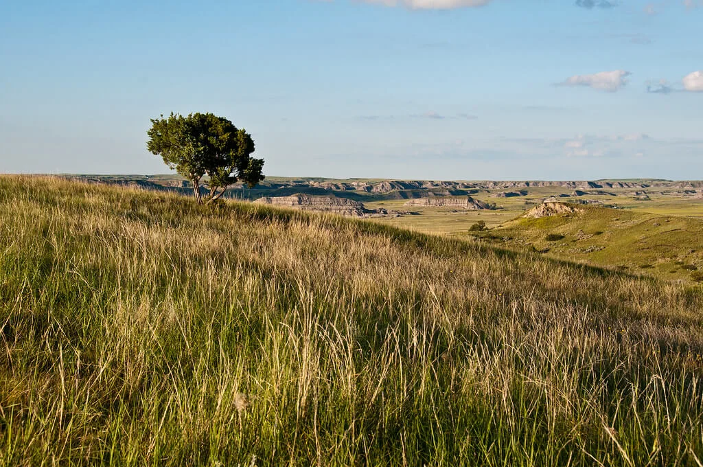Parc national Theodore Roosevelt, États-Unis