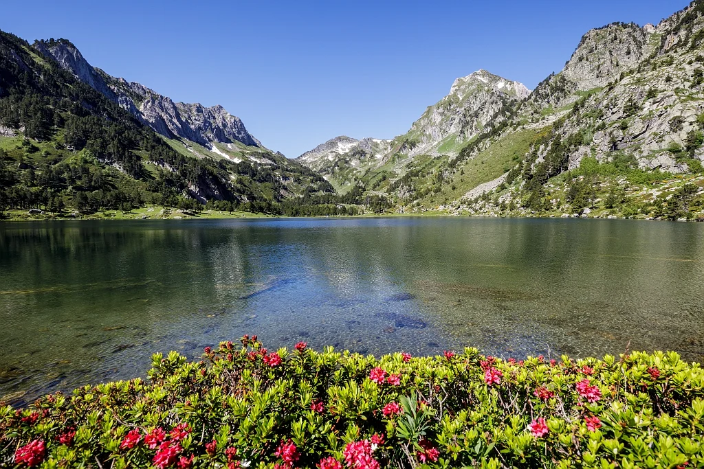 Étang de Laurenti, France