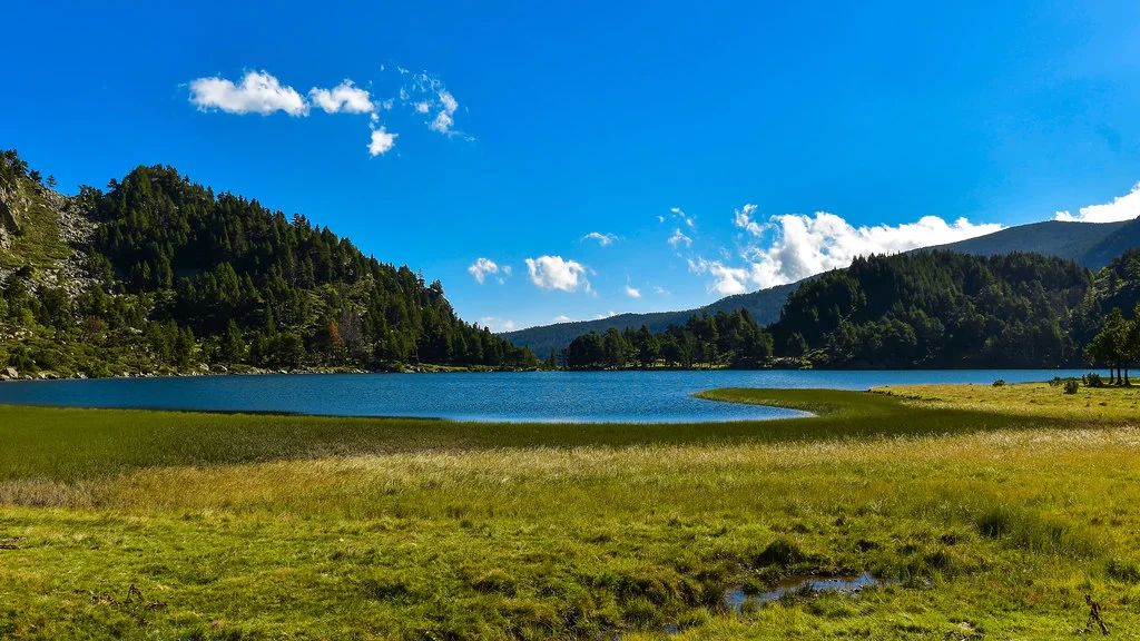 Étang de Laurenti, France