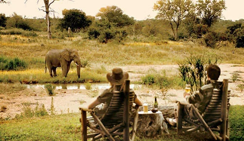 Timbavati Game Reserve, Afrique du Sud