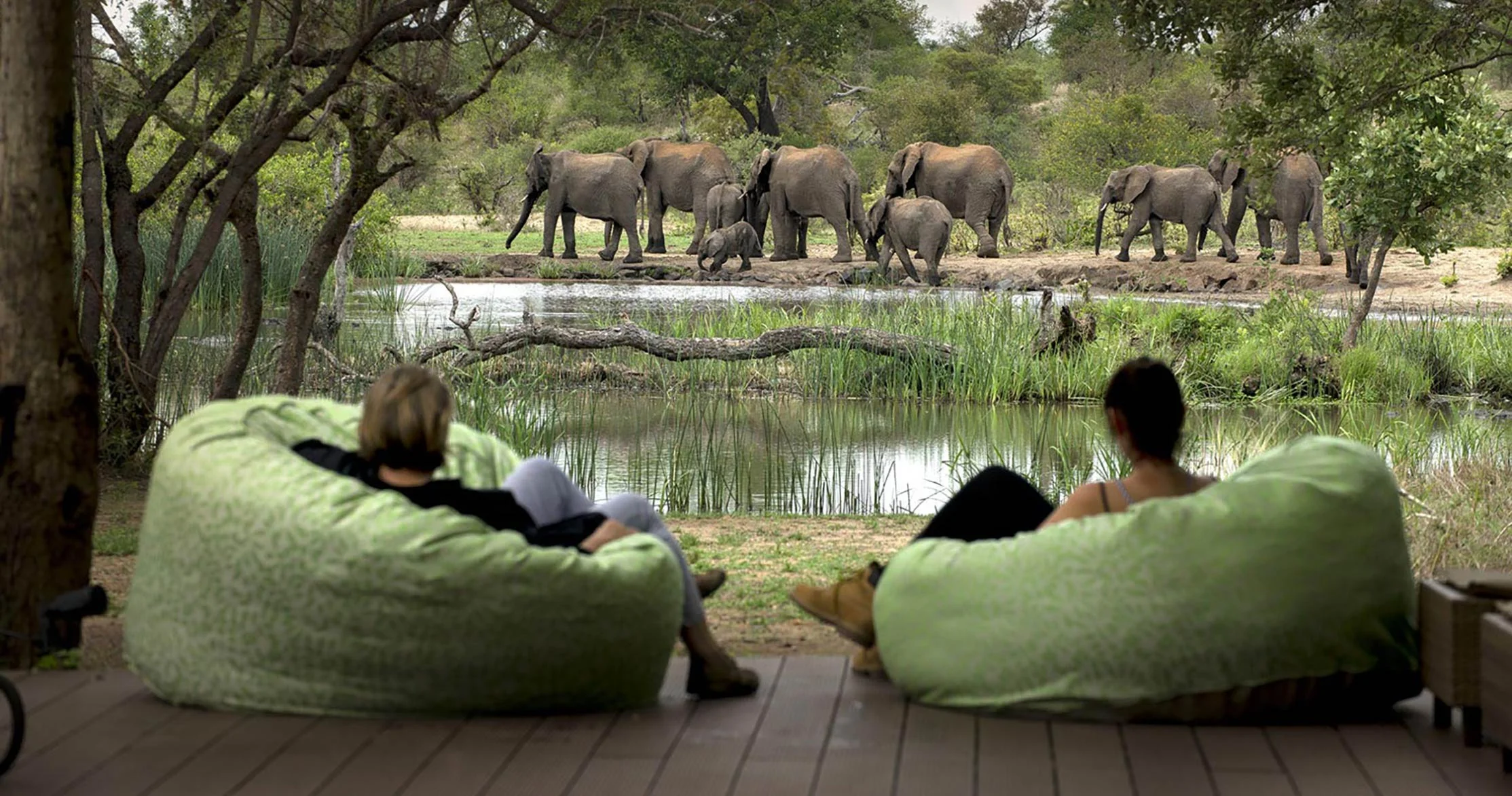 Timbavati Game Reserve, Afrique du Sud