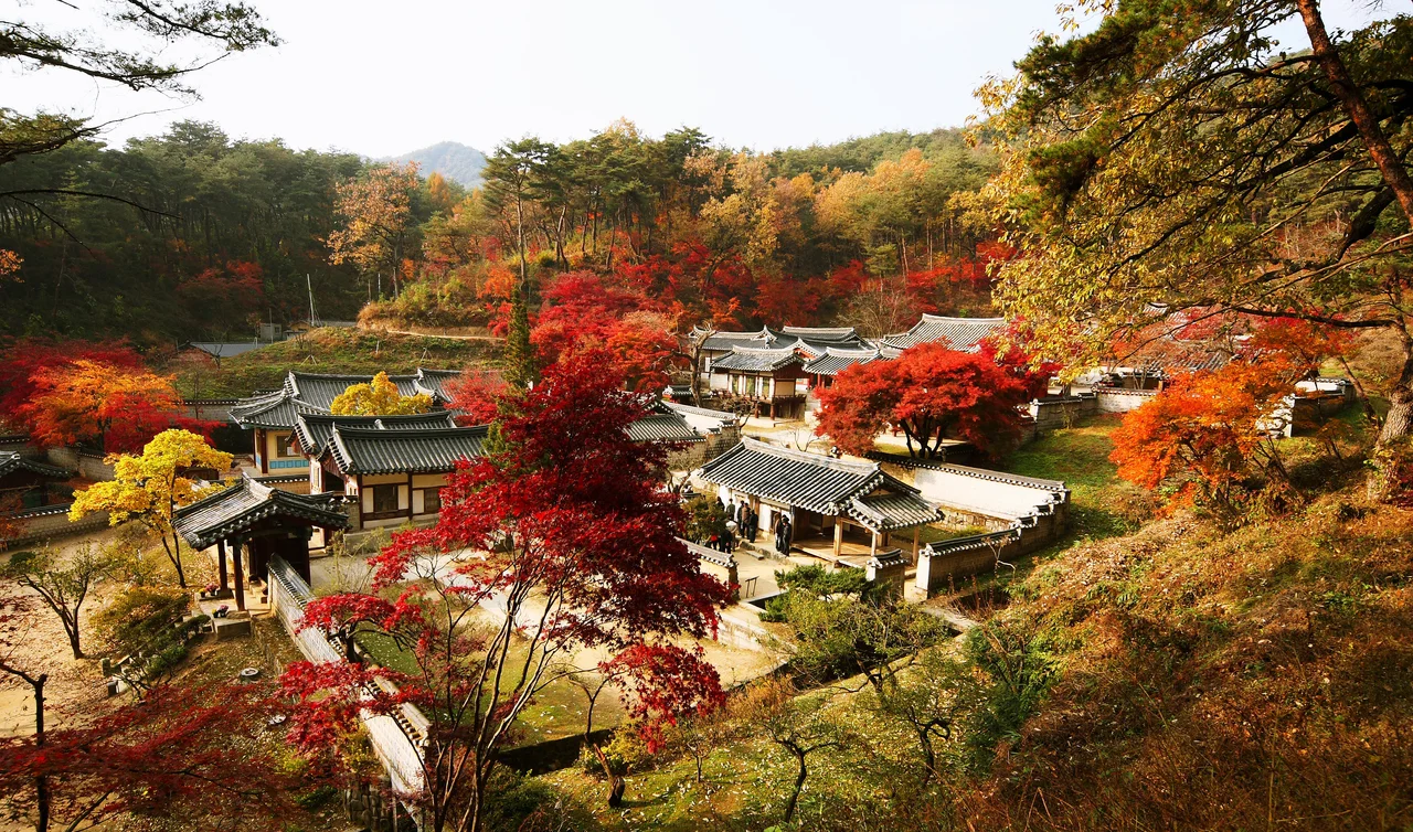 Dosan Seowon, Corée du Sud