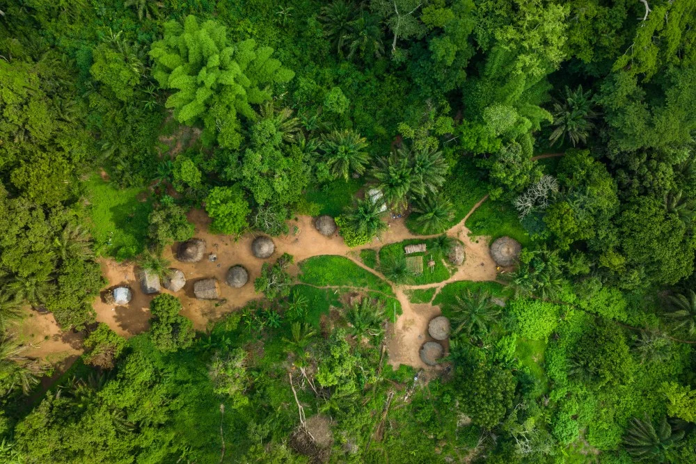 Réserve naturelle de Chinko, République centrafricaine