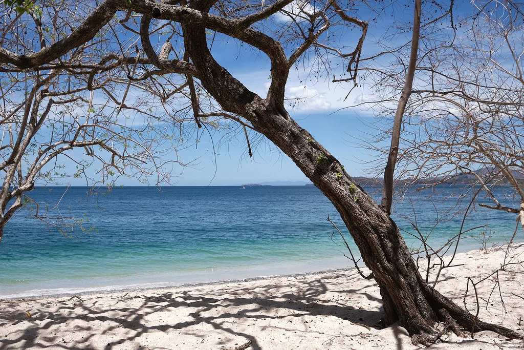 Playa Conchal, Costa Rica