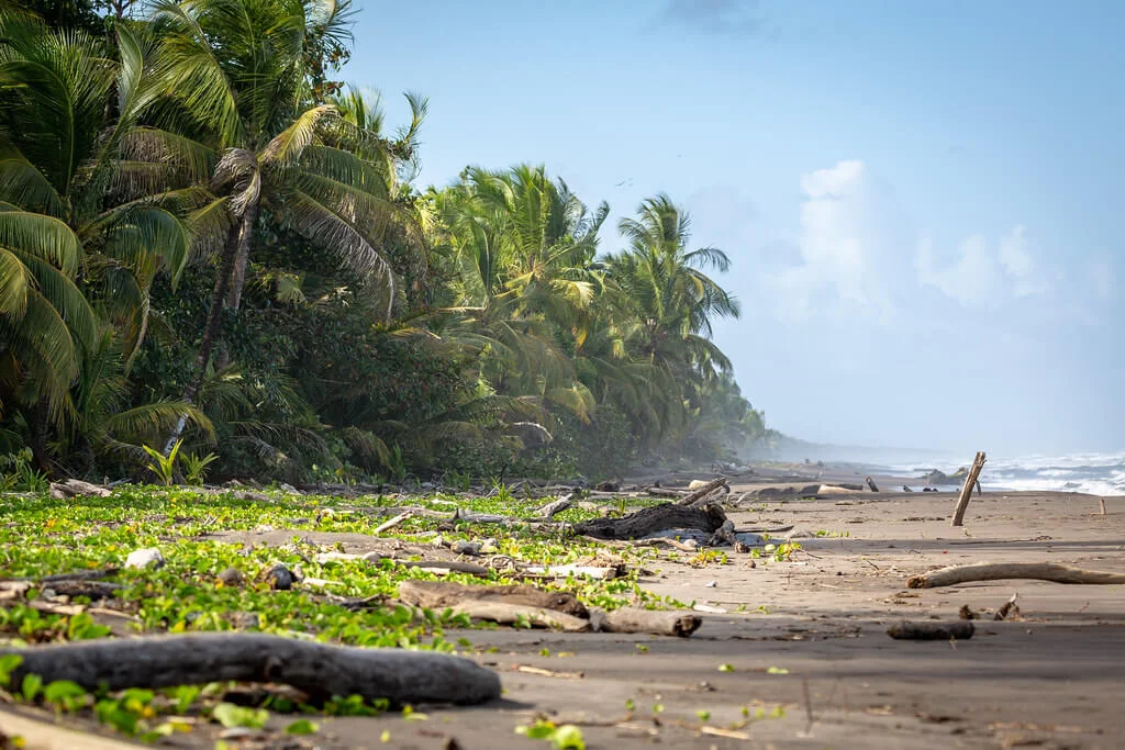 Parc national de Tortuguero, Costa Rica