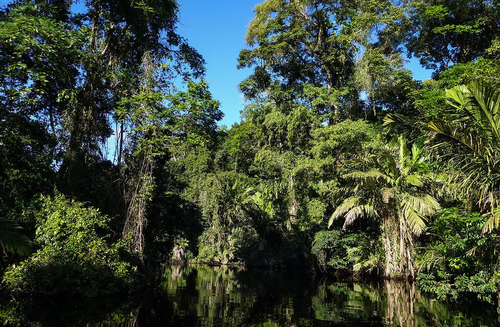 Parc national de Tortuguero, Costa Rica