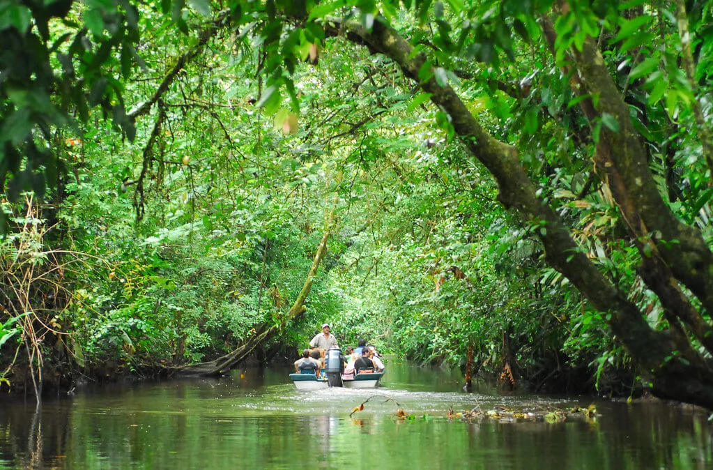 Parc national de Tortuguero, Costa Rica