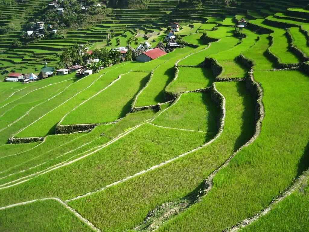 Rizières de Batad, Philippines