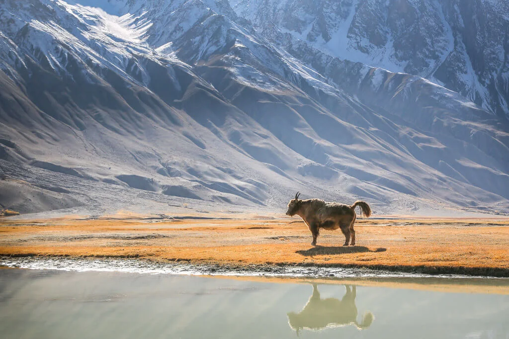 Vallée du Wakhan, Tadjikistan