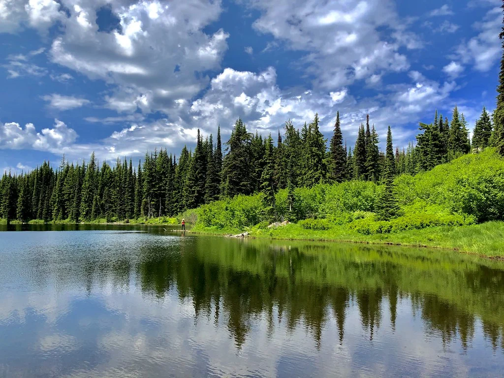Idaho Panhandle National Forests, États-Unis