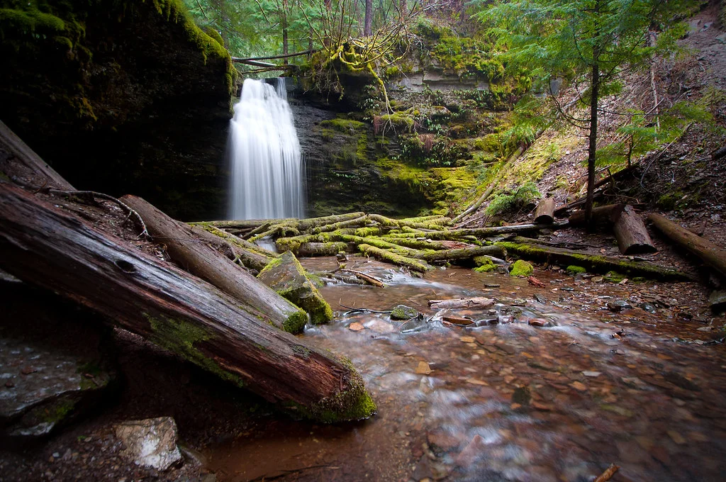 Idaho Panhandle National Forests, États-Unis