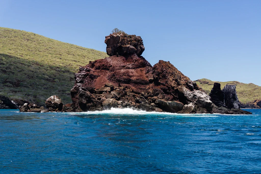 Île Pinzón, Équateur, Îles Galápagos