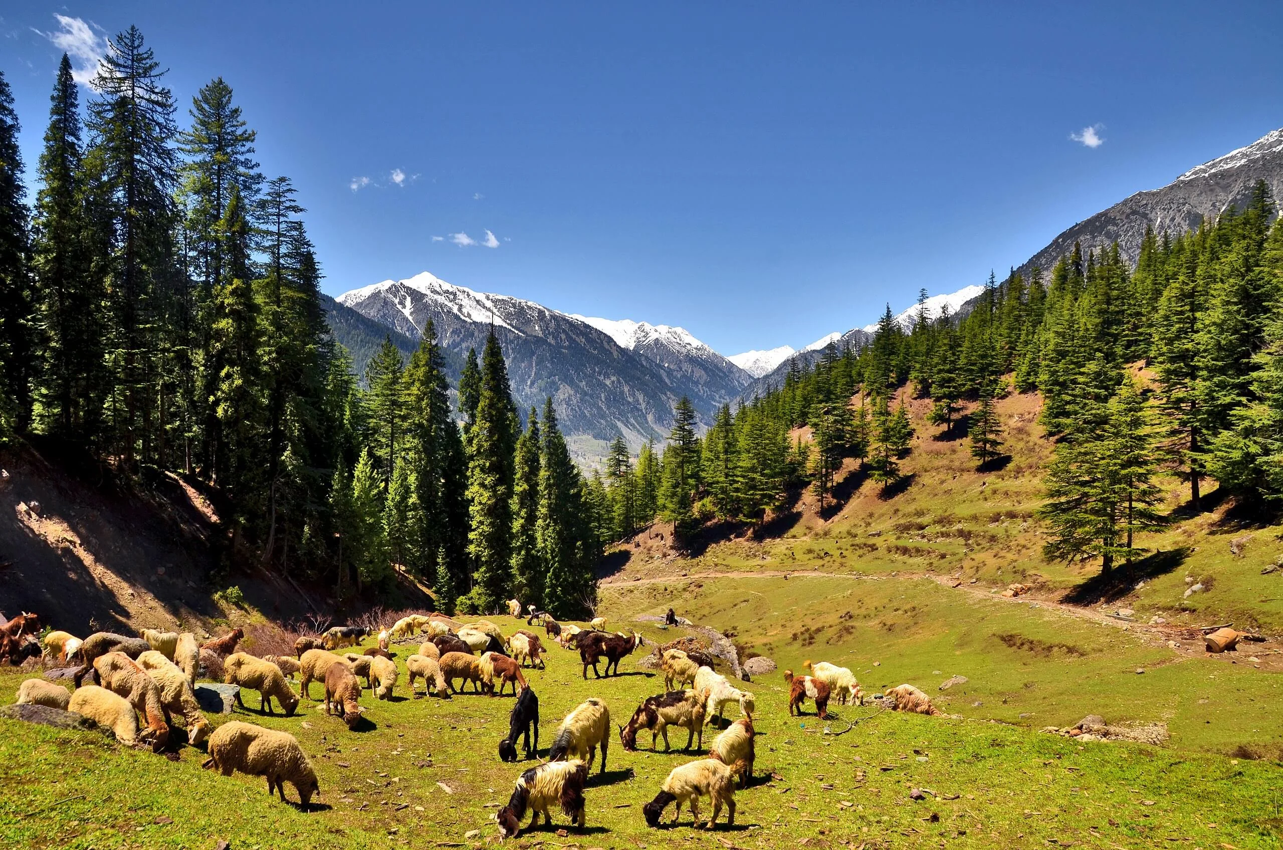 Vallée de Swat, Pakistan