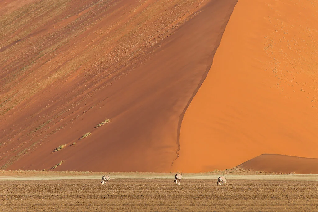 Parc national de Namib-Naukluft, Namibie
