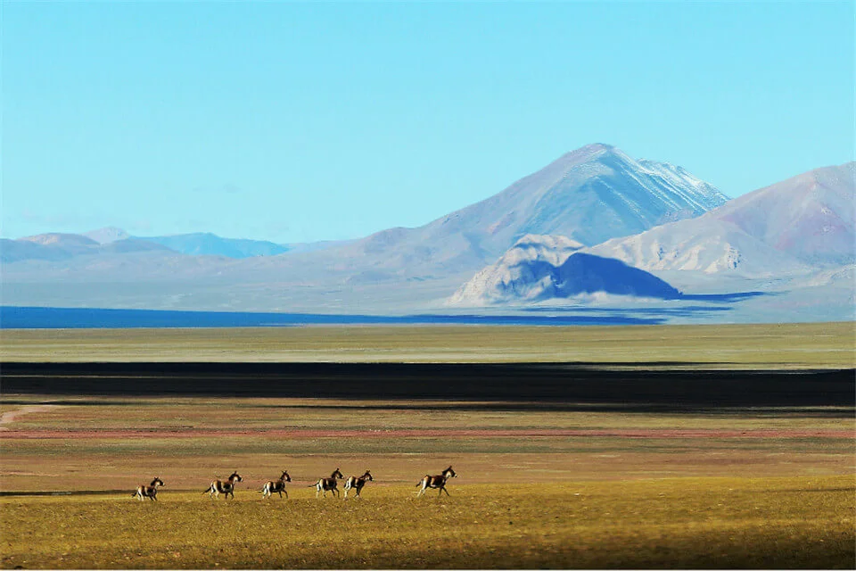 Changtang, Chine, Inde