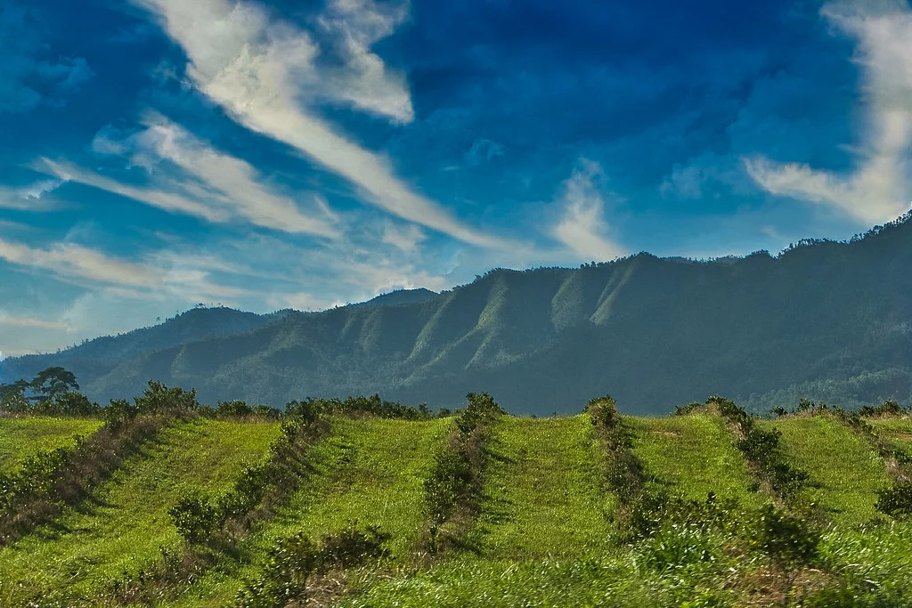 Monts Maya, Belize, Belize, Belize, Guatemala