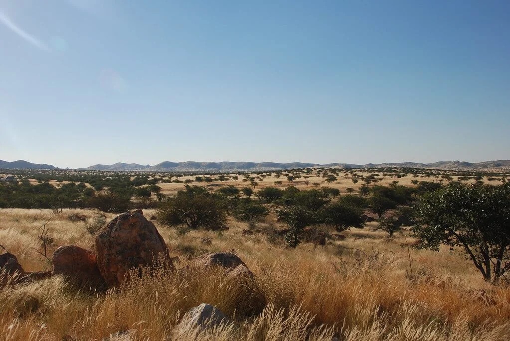 Damaraland, Namibie, Namibie