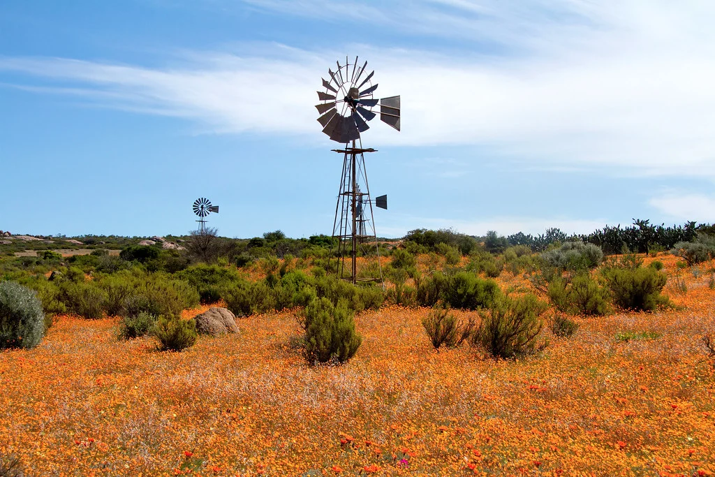 Parc national Namaqua, Afrique du Sud