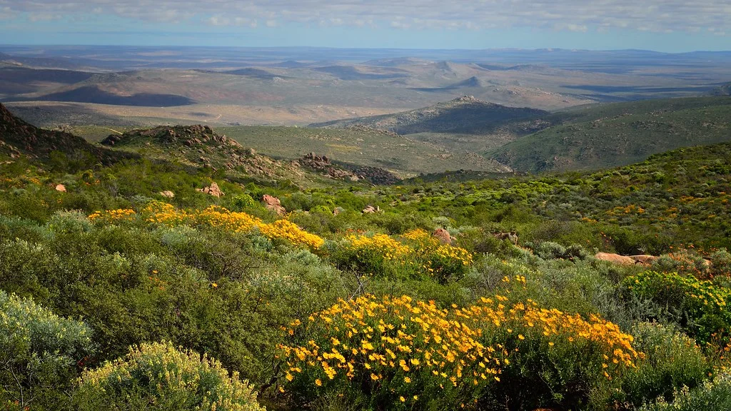 Parc national Namaqua, Afrique du Sud