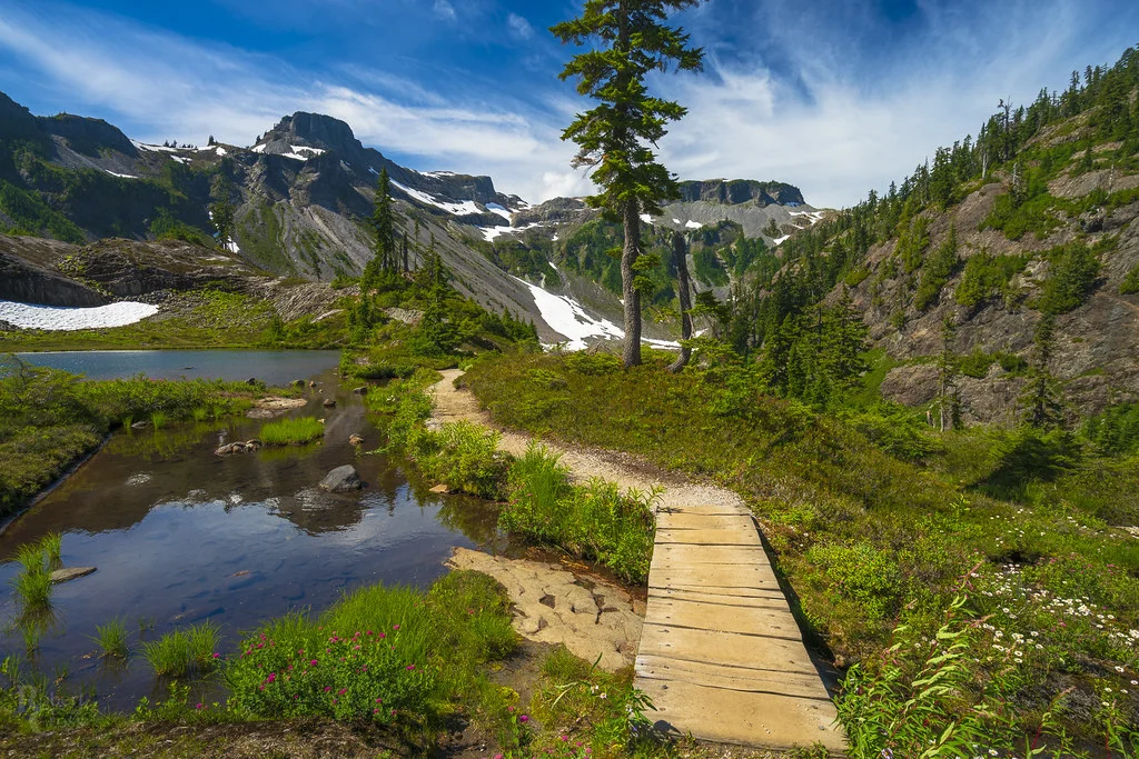 Heather Meadows, États-Unis