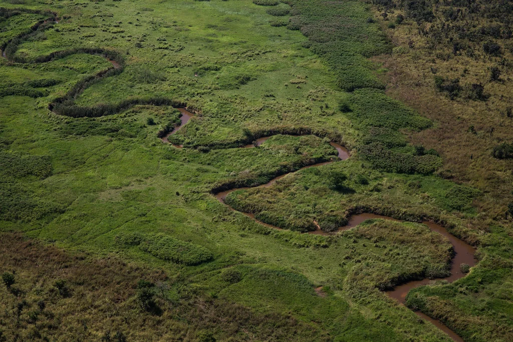 Parc national de la Garamba, République démocratique du Congo